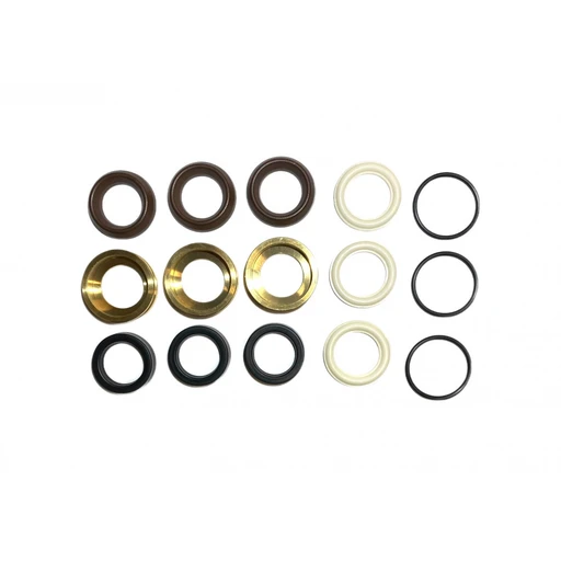 Annovi Reverberi Комплект уплотнений для насоса RR - 1