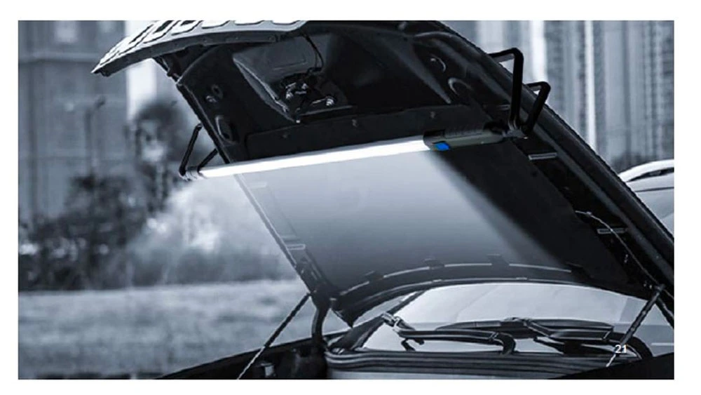 Leraton !!IQ Detailer - Детейлер-спрей, бородатая езда, Limited, 473 мл - 4